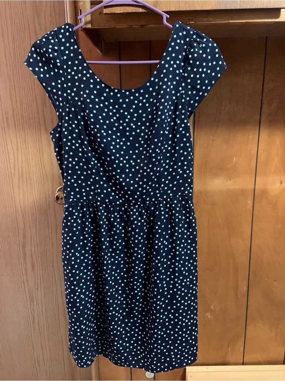 American Eagle Outfitters Navy Blue Polka Dot Midi Dress